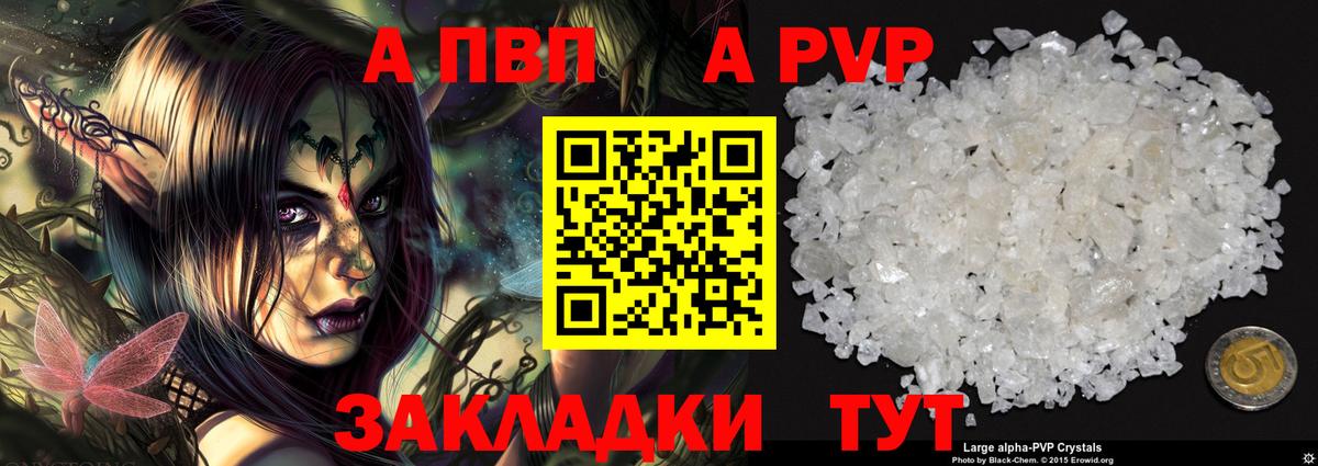Alfa_PVP СК Вологда