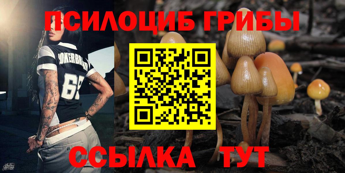 Вологда  Галлюциногенные грибы ЛСД  Вход с VPN 